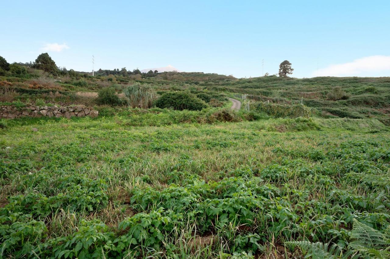 El Nogal Villa San Juan de la Rambla Buitenkant foto